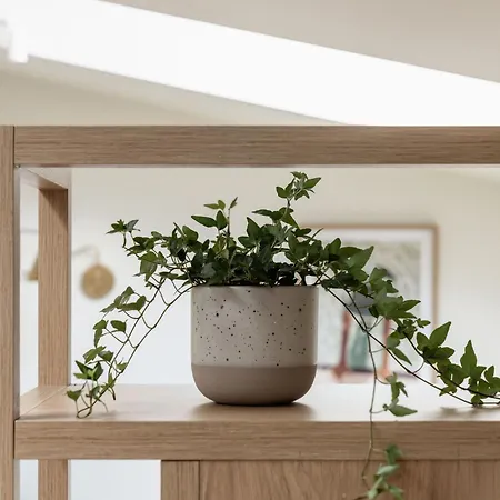 Sanhaus - Milano - Z Klimatyzacja 3 Minuty Od Plazy *