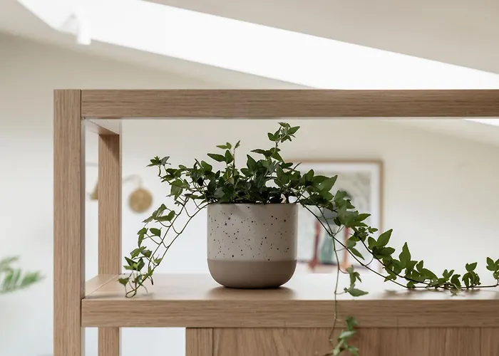 Sanhaus - Milano - Z Klimatyzacja 3 Minuty Od Plazy *